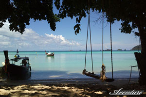 Tropical paradise