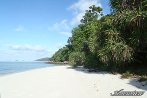 Desert beach