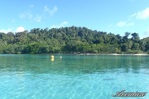 Snorkelling spot