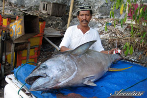 Big catch for sale at a local market